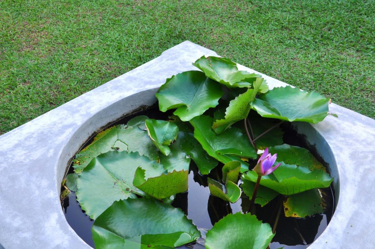 Mama Villa Hikkaduwa Luaran gambar